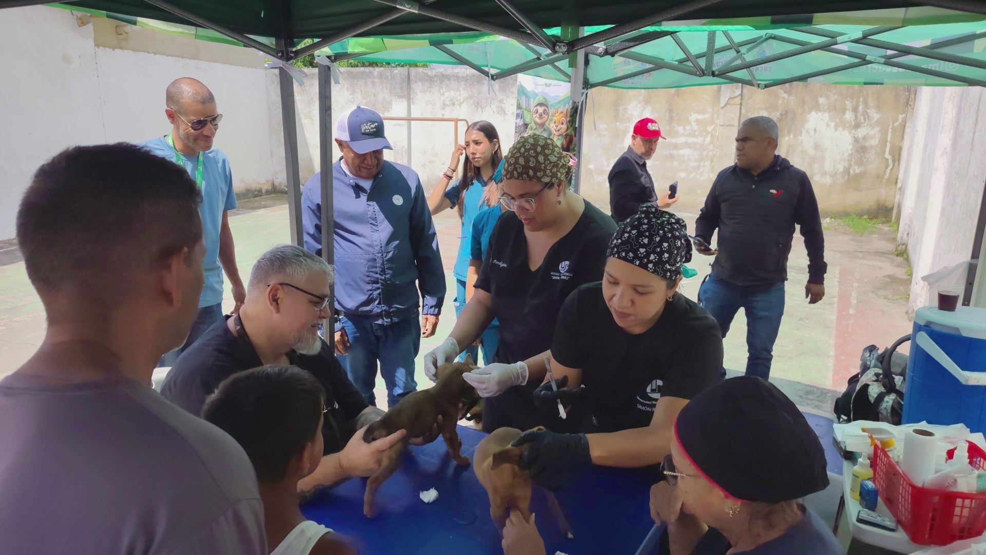 ...